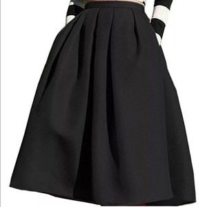 NWT! Pleated High Waisted A-Line Skirt Size Large